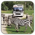 Western Torvehallerne Hotel 4*